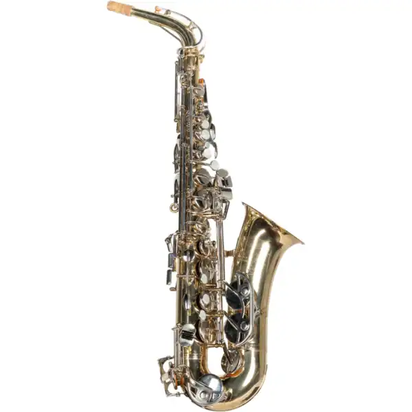 Selmer USA Bundy II altsaxofoon (€80 HUUR + €220 BORG)